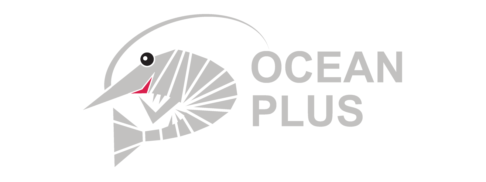 Ocean Plus